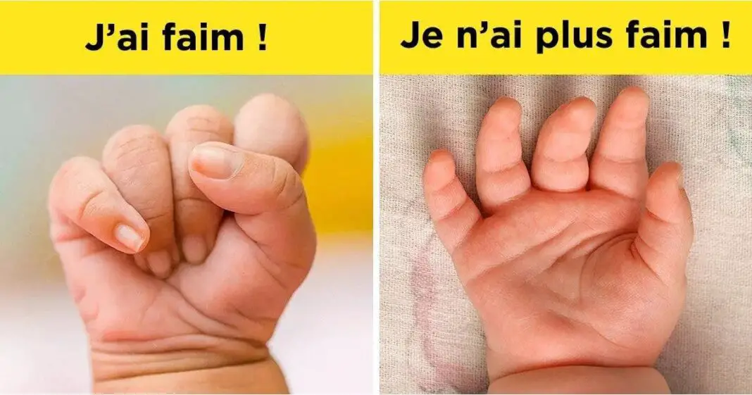 17 signaux pour comprendre le langage de bébé-min