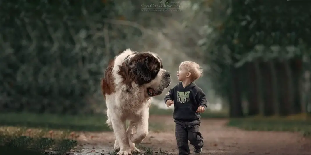 les 36 plus belles photos des Petits Enfants Avec Leurs ÉNORMES Chiens-min