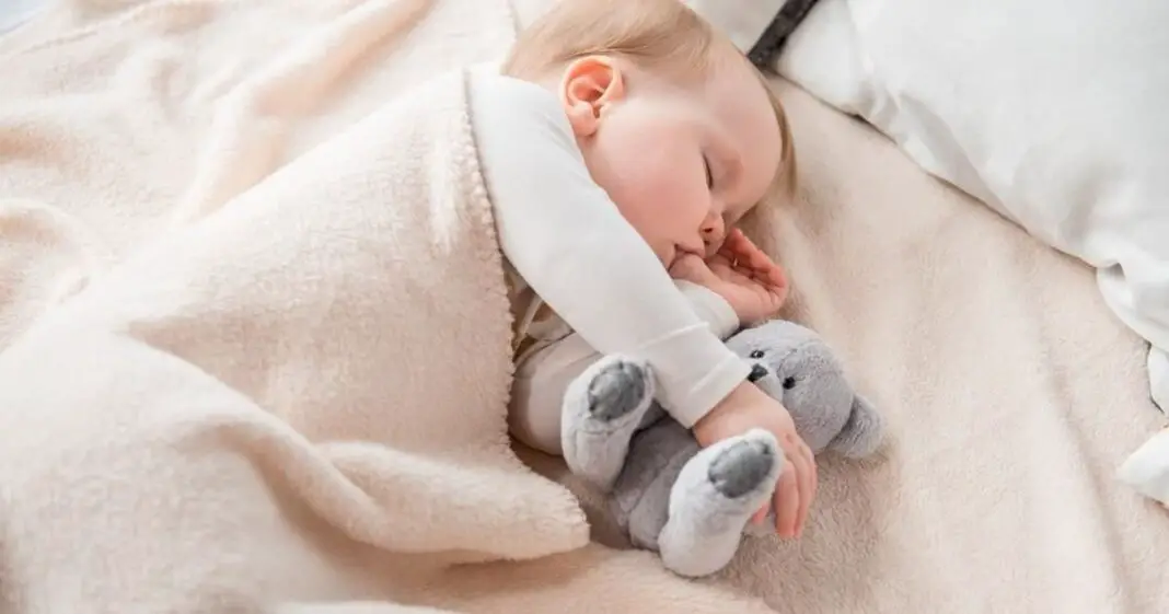 Le doudou un objet transitionnel nécessaire à la croissance de votre bébé-min