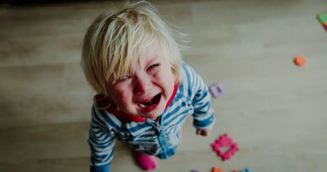 Théorie de l'attachement pourquoi mon enfant embête que moi parmi tout le monde-min (2)